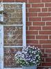 Img.2023.06.08