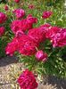 Img.2023.06.08