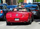 Ottawa - FORD Shelby
