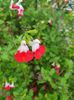 received_314360615070126