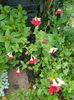 received_1244947493580713