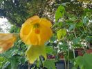 received_1004102884414531