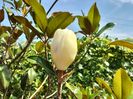 IMG20240620161306