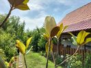 IMG20240620161255