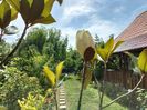 IMG20240620161252