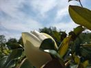 IMG20240620161237