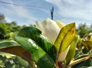 IMG20240620161227
