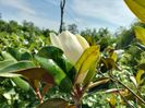 IMG20240620161221