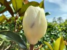 IMG20240620161159