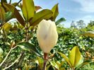 IMG20240620161153