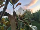 IMG20240617210612