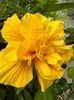 received_1497079891185071