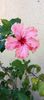 received_2397835993940397