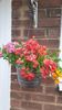 IMG-20240621-WA0164