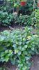 IMG-20240621-WA0145