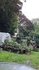 IMG-20240621-WA0119