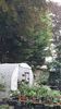 IMG-20240621-WA0115