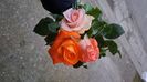 IMG-20240509-WA0021