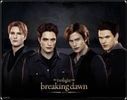 images (1)