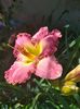 IMG20240628112147