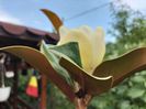 IMG20240701163938