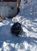 IMG20240121113818