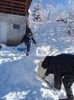 IMG20240121113653