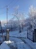 IMG20240121101137