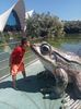 IMG20230831133617