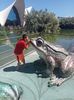 IMG20230831133611