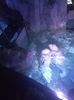 IMG20230831130136
