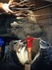 IMG20230831105004