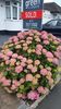 IMG-20240626-WA0031