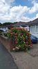IMG-20240626-WA0016