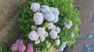 IMG-20240702-WA0077