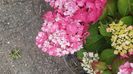 IMG-20240702-WA0073