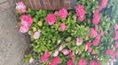 IMG-20240702-WA0075