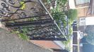 IMG-20240702-WA0065