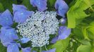 IMG-20240702-WA0061