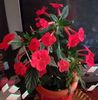 Messenger_creation_0a8c1313-e626-48c3-90ec-6dcd6aefcd45