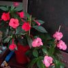 received_710036853933334