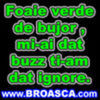 thumb_avatare_poze_Foaie_verde_de_bujor_mi-ai_dat_buzz_ti-am_dat_ignore