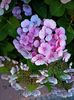 Img.2023.07.14