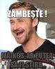 zambeste maine ai putea fi stirb