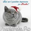 www_avatarele_ro__1198076371_254549