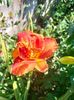 IMG20240715114831