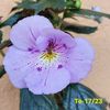Img.2023.06.05