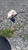 IMG-20240510-WA0023