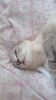 IMG-20240430-WA0005