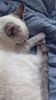 IMG-20240524-WA0003